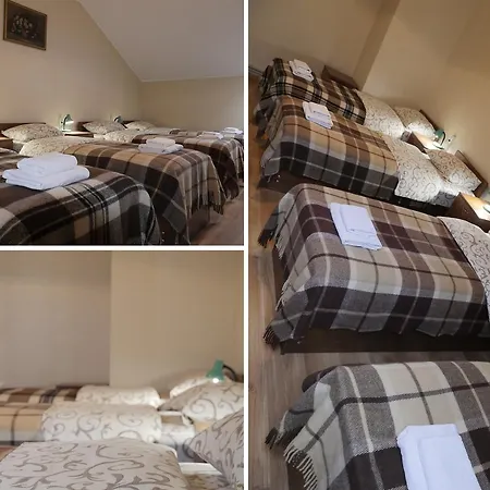 호스텔 City Hostel *